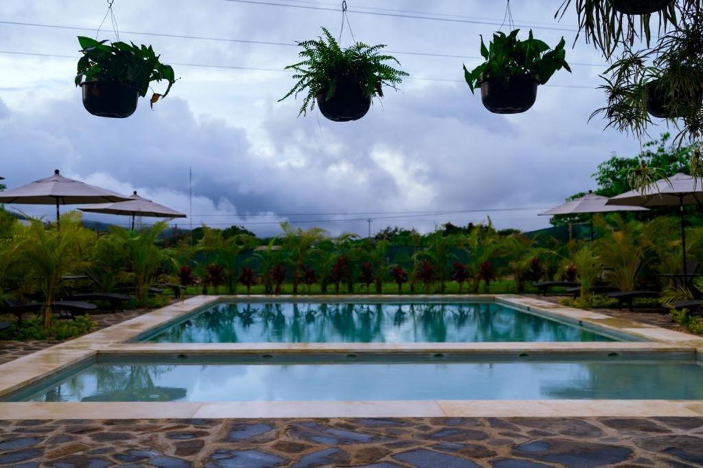 Jardin De Estrellas Compostela Buitenkant foto